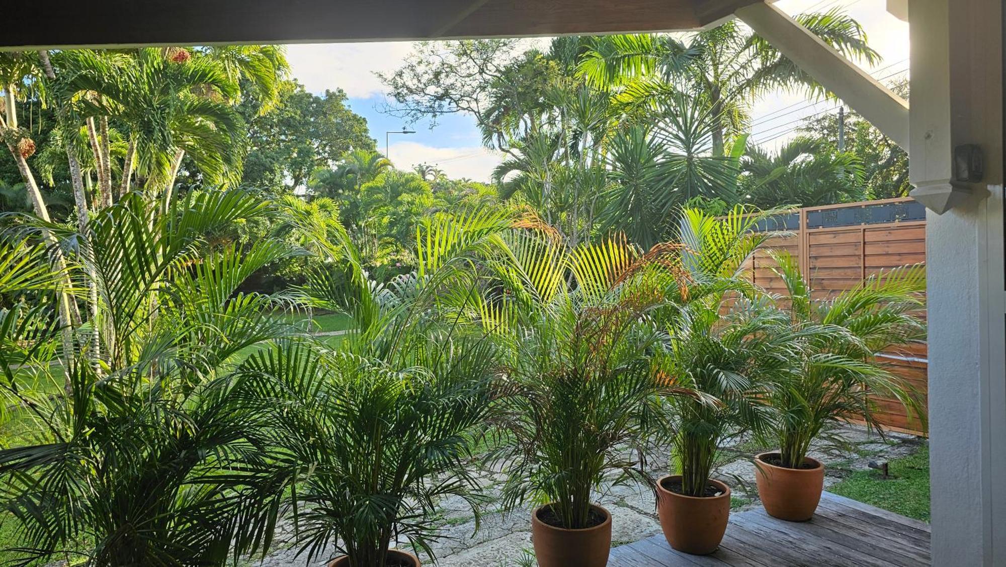 Habitation Villa Les Cassias Petit-Bourg Ngoại thất bức ảnh