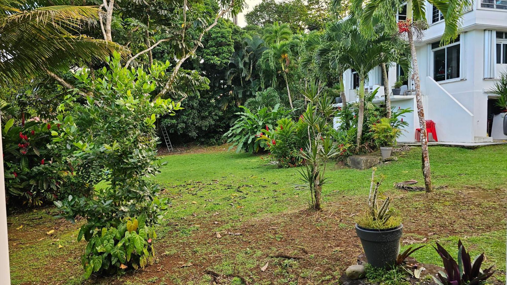 Habitation Villa Les Cassias Petit-Bourg Ngoại thất bức ảnh